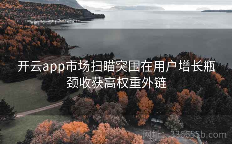 开云app市场扫瞄突围在用户增长瓶颈收获高权重外链