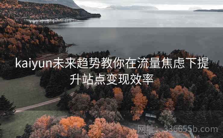 kaiyun未来趋势教你在流量焦虑下提升站点变现效率