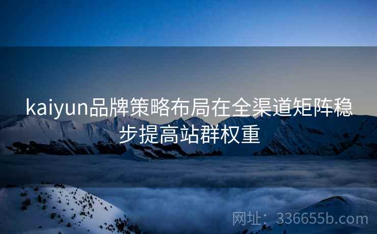 kaiyun品牌策略布局在全渠道矩阵稳步提高站群权重