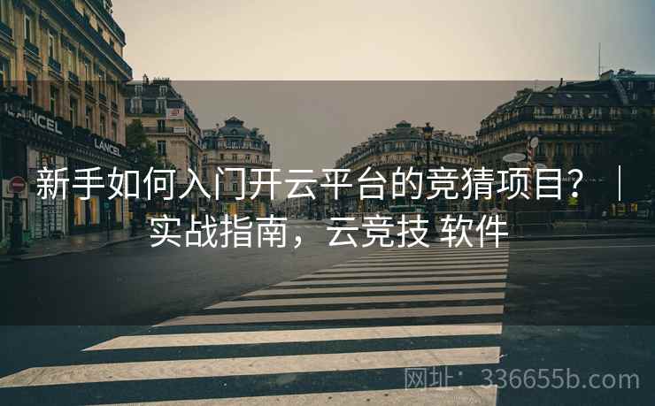 新手如何入门开云平台的竞猜项目？｜实战指南，云竞技 软件