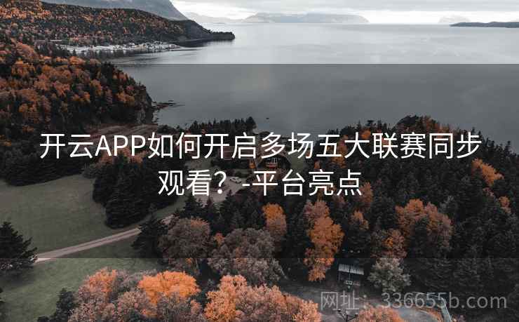 开云APP如何开启多场五大联赛同步观看？-平台亮点