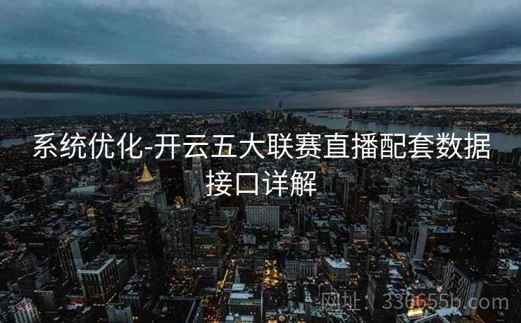 系统优化-开云五大联赛直播配套数据接口详解