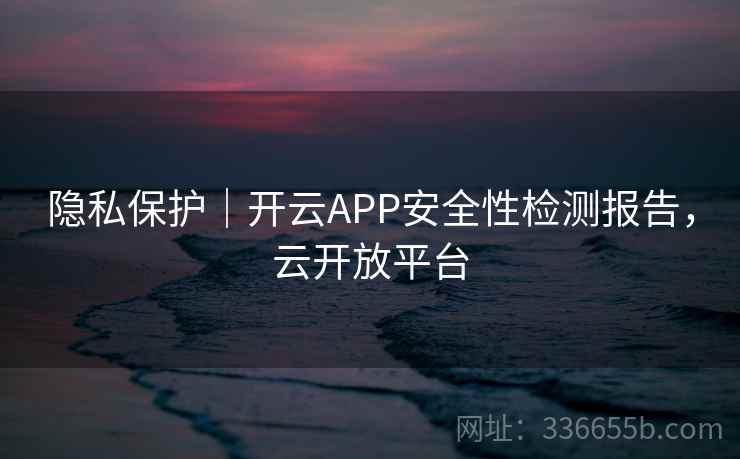 隐私保护｜开云APP安全性检测报告，云开放平台