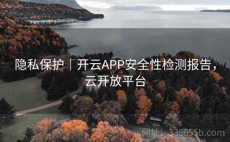 隐私保护｜开云APP安全性检测报告，云开放平台