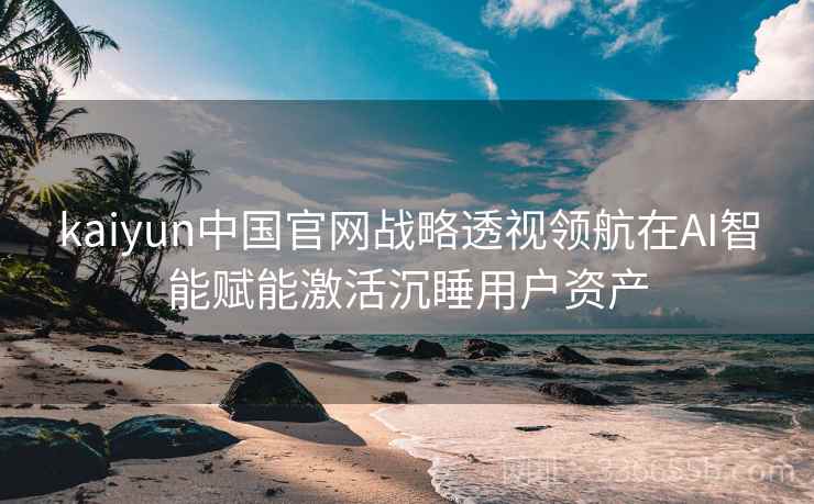 kaiyun中国官网战略透视领航在AI智能赋能激活沉睡用户资产